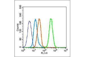 MCF-7 cells probed with Estrogen Receptor alpha Antibody, unconjugated  at 1:100 dilution for 30 minutes compared to control cells (blue) and isotype control (orange) (Estrogen Receptor alpha 抗体  (AA 501-600))