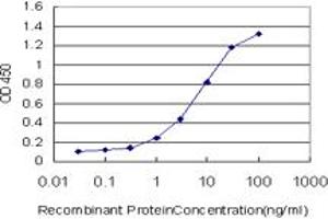 ELISA image for anti-Peptidylprolyl Isomerase E (Cyclophilin E) (PPIE) (AA 2-100) antibody (ABIN564550)