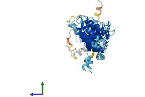 Protein Structure (PS) image for Ankyrin Repeat and SOCS Box Containing 6 (ASB6) (AA 1-418) protein (His tag) (ABIN7560160)