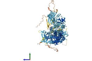 Protein Structure (PS) image for ATPase Type 13A2 (ATP13A2) (AA 1-1180) protein (His tag) (ABIN7552454)