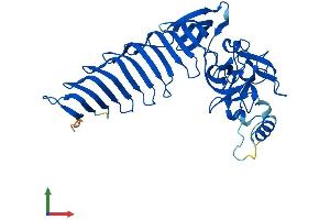 Protein Structure (PS) image for SET Domain Containing (Lysine Methyltransferase) 7 (SETD7) (AA 1-366) protein (His tag) (ABIN7564766)