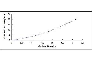 Typical standard curve (CDK8 ELISA 试剂盒)