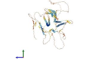 AlphaFold protein structure predicition of Mouse Recombinant Kiaa0753 Protein, UniprotID Q6A000