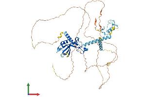 Protein Structure (PS) image for CCR4-NOT Transcription Complex Subunit 4 (CNOT4) (AA 1-575) protein (His tag) (ABIN7558866)