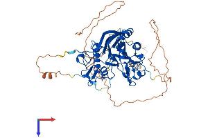 Protein Structure (PS) image for Angel Homolog 2 (ANGEL2) (AA 1-544) protein (His tag) (ABIN7552278)