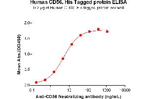 ELISA image for Neural Cell Adhesion Molecule 1 (NCAM1) (AA 220-718) protein (His tag) (ABIN7092681)