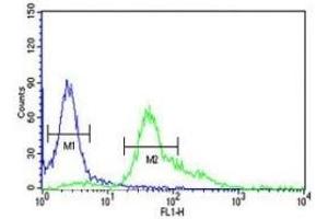 S100A6 antibody flow cytometric analysis of HeLa cells (right histogram) compared to a negative control (left histogram). (S100A6 抗体  (AA 37-67))