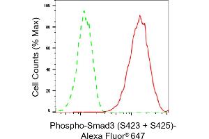 Flow cytometric analysis of Phospho-Smad3 (S423 + S425) expression in HAP-1 cells using Phospho-Smad3 (S423 + S425) antibody (ABIN7800373), 1:2,000). (Recombinant SMAD3 抗体  (pSer423, pSer425))