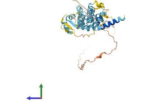 Protein Structure (PS) image for Proteasome (Prosome, Macropain) 26S Subunit, Non-ATPase, 8 (PSMD8) (AA 1-350) protein (His tag) (ABIN7551079)