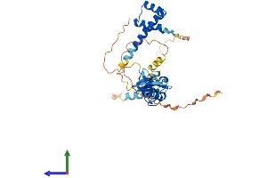 AlphaFold protein structure predicition of Mouse Recombinant Isl2 Protein, UniprotID Q9CXV0