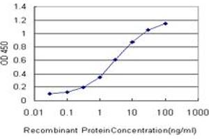 Detection limit for recombinant GST tagged CREB3 is approximately 0. (CREB3 抗体  (AA 273-371))
