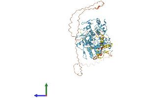 Protein Structure (PS) image for Zinc Finger Protein 334 (ZNF334) (AA 1-680) protein (His tag) (ABIN7545654)