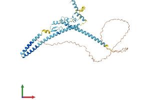 AlphaFold protein structure predicition of Mouse Recombinant Luc7l2 Protein, UniprotID Q7TNC4