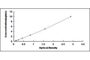 Typical standard curve (PCDHB16 ELISA 试剂盒)