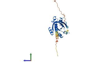 Protein Structure (PS) image for RAB33A, Member RAS Oncogene Family (RAB33A) (AA 1-237) protein (His tag) (ABIN7551253)