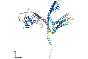 Protein Structure (PS) image for Potassium Channel, Subfamily V, Member 2 (KCNV2) (AA 1-545) protein (His tag) (ABIN7548853)