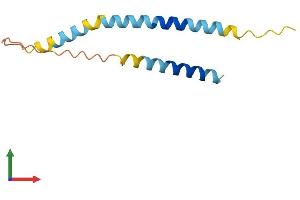 AlphaFold protein structure predicition of Human Recombinant CT83 Protein, UniprotID Q5H943