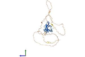Protein Structure (PS) image for Starch Binding Domain 1 (STBD1) (AA 1-338) protein (His tag) (ABIN7559185)