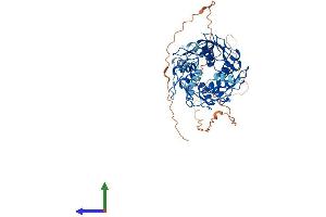AlphaFold protein structure predicition of Human Recombinant ZNF502 Protein, UniprotID Q8TBZ5