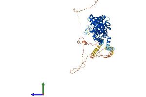Protein Structure (PS) image for Protein tyrosine Phosphatase, Non-Receptor Type 5 (Striatum-Enriched) (PTPN5) (AA 1-541) protein (His tag) (ABIN7556173)