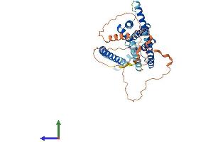 Protein Structure (PS) image for Potassium Channel, Subfamily K, Member 9 (KCNK9) (AA 1-402) protein (His tag) (ABIN7557040)
