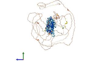 Protein Structure (PS) image for G Protein-Coupled Receptor Associated Sorting Protein 2 (GPRASP2) (AA 1-826) protein (His tag) (ABIN7558909)