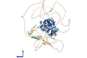 AlphaFold protein structure predicition of Mouse Recombinant Phf2 Protein, UniprotID Q9WTU0