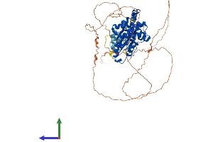Protein Structure (PS) image for Cyclin-Dependent Kinase-Like 3 (CDKL3) (AA 1-595) protein (His tag) (ABIN7558739)