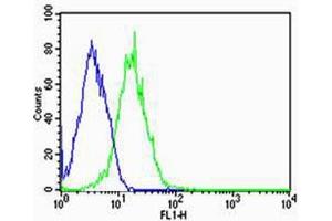 Flow cytometric analysis of HepG2 cells using T1 Antibody (C-term)(green, Cat(ABIN1944801 and ABIN2838504)) compared to an isotype control of mouse IgG1(blue). (PPT1 抗体  (AA 1-306))