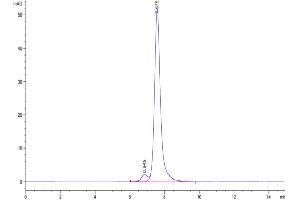 Size-exclusion chromatography-High Pressure Liquid Chromatography (SEC-HPLC) image for C-Type Lectin Domain Family 2, Member D (CLEC2D) (AA 60-191) protein (Fc-Avi Tag,Biotin) (ABIN7274345)