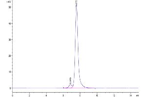 The purity of Biotinylated Human CLEC2D is greater than 95 % as determined by SEC-HPLC. (CLEC2D Protein (AA 60-191) (Fc-Avi Tag,Biotin))