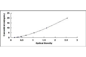 Typical standard curve (Cyclin B1 ELISA 试剂盒)