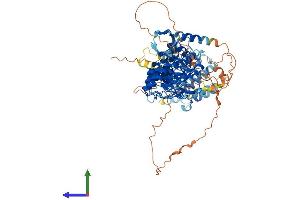 Protein Structure (PS) image for Receptor-Interacting Serine-threonine Kinase 4 (RIPK4) (AA 1-832) protein (His tag) (ABIN7555225)