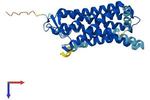 AlphaFold protein structure predicition of Mouse Recombinant Olfr143 Protein, UniprotID P34985 (OLFR143 Protein (AA 1-313) (His tag))