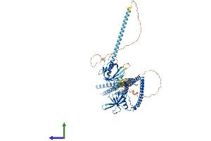 Protein Structure (PS) image for Adaptor Protein, phosphotyrosine Interaction, PH Domain and Leucine Zipper Containing 1 (APPL1) (AA 1-709) protein (His tag) (ABIN7553719)