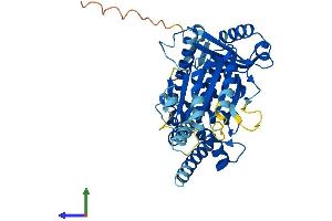 Protein Structure (PS) image for Thyroid Hormone Receptor Interactor 13 (TRIP13) (AA 1-432) protein (His tag) (ABIN7563705)