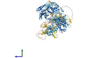 Protein Structure (PS) image for Nephronophthisis 4 (NPHP4) (AA 1-1426) protein (His tag) (ABIN7554794)