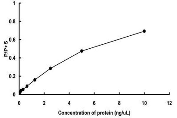 JAK1 Protein (AA 850-1154) (GST tag)