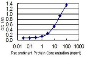 Detection limit for recombinant GST tagged DTYMK is 0. (DTYMK 抗体  (AA 103-212))