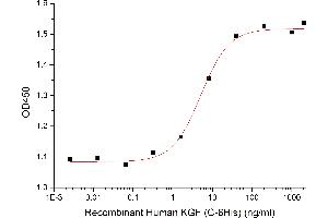 Measured in a cell proliferation assay using HaCaT cells.