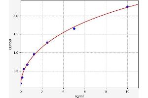 Metaxin 1 ELISA 试剂盒