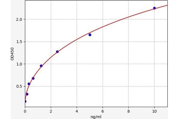 Metaxin 1 ELISA 试剂盒