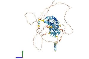 Protein Structure (PS) image for Leucine-Rich Repeats and Calponin Homology (CH) Domain Containing 4 (LRCH4) (AA 1-683) protein (His tag) (ABIN7549210)
