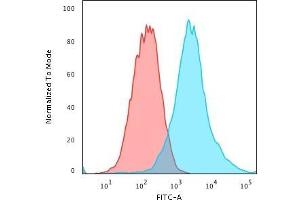 Flow Cytometric Analysis of PFA-fixed MCF-7 cells using Cytokeratin 19 Mouse Recombinant MAb (rKRT19/799) followed by Goat anti-Mouse IgG-CF488 (Blue); Isotype Control (Red). (Recombinant Cytokeratin 19 抗体)