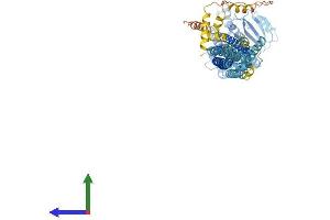 Protein Structure (PS) image for Mitofusin 2 (MFN2) (AA 1-757) protein (His tag) (ABIN7554534)