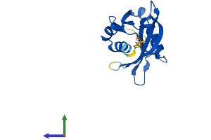 Protein Structure (PS) image for Nudix (Nucleoside Diphosphate Linked Moiety X)-Type Motif 11 (NUDT11) (AA 1-164) protein (His tag) (ABIN7549996)