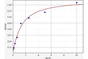 JNK2 ELISA 试剂盒