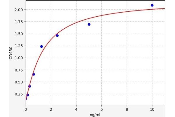 JNK2 ELISA 试剂盒