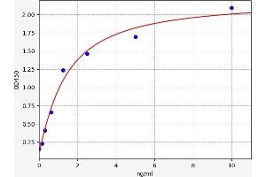 Typical standard curve (JNK2 ELISA 试剂盒)