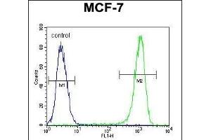 BCL10 Antibody (N-term) (ABIN654655 and ABIN2844351) flow cytometric analysis of MCF-7 cells (right histogram) compared to a negative control cell (left histogram). (BCL10 抗体  (N-Term))